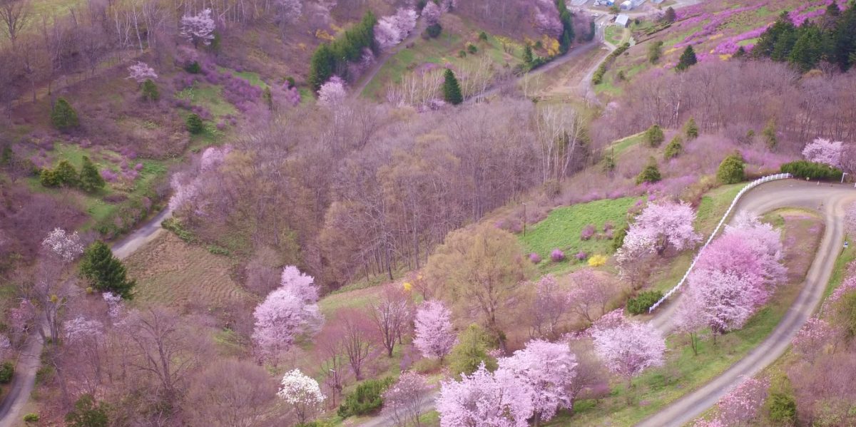 フラパラ市民の会